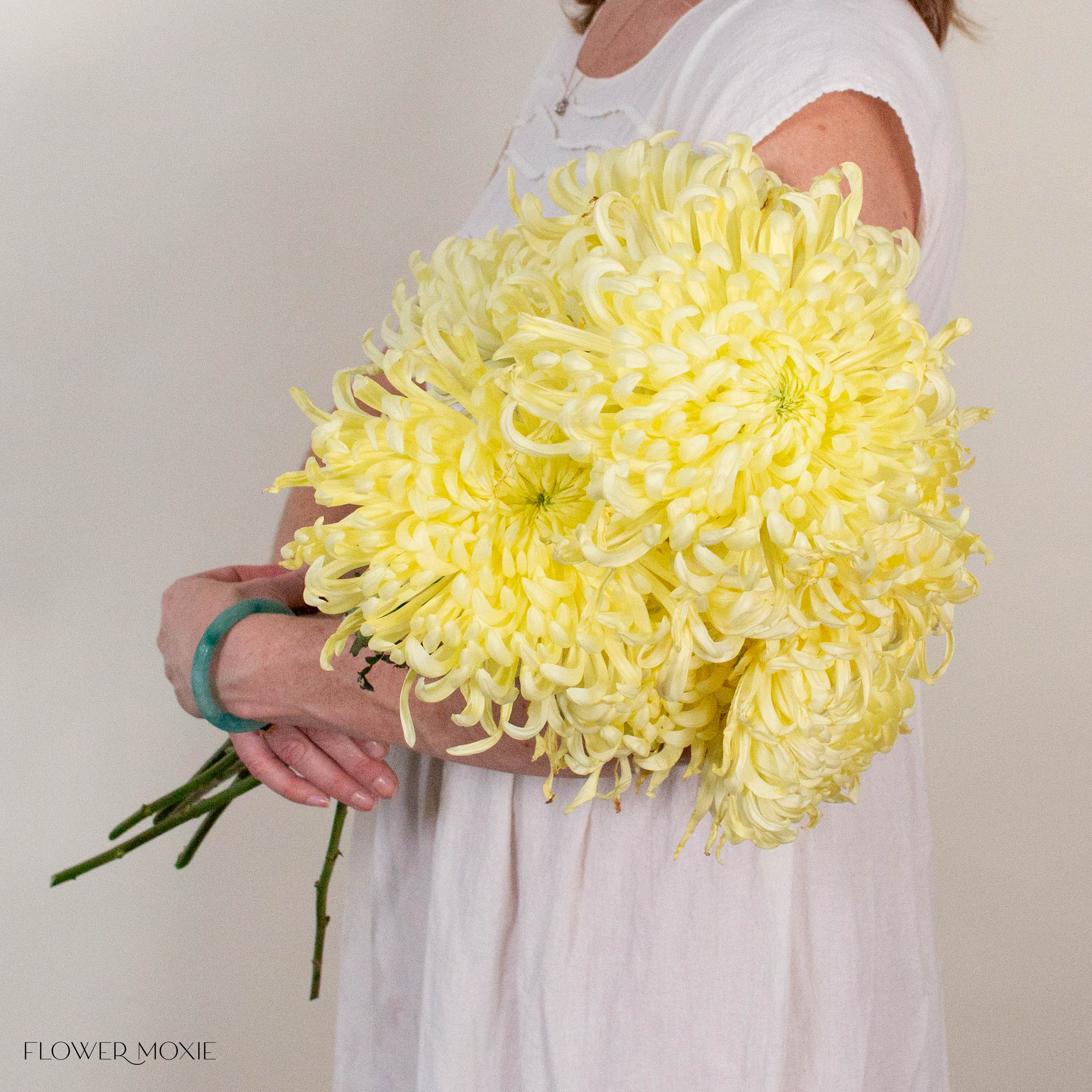 Butter Yellow Medusa Cremone Flower