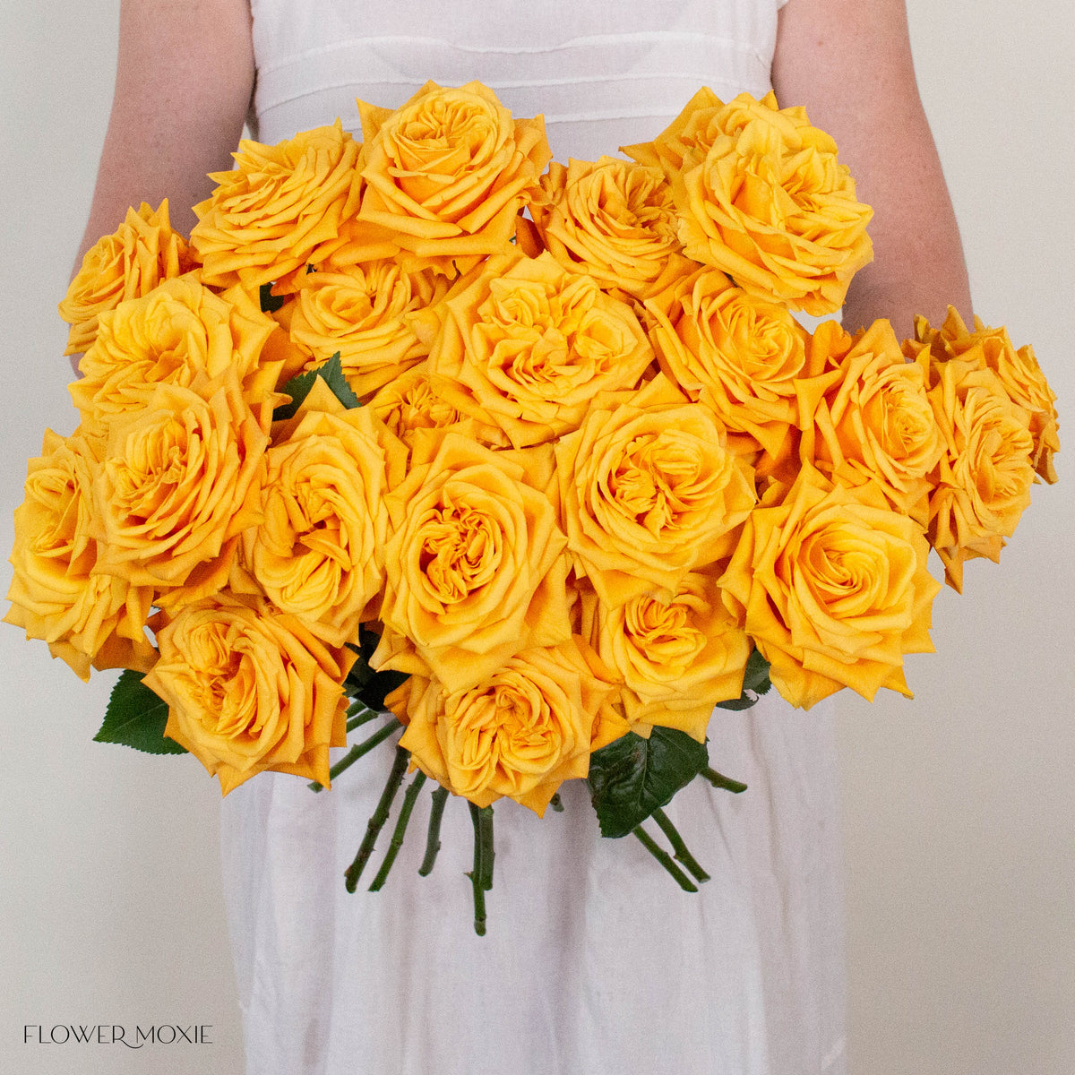 Mustard Yellow Midas Touch Roses
