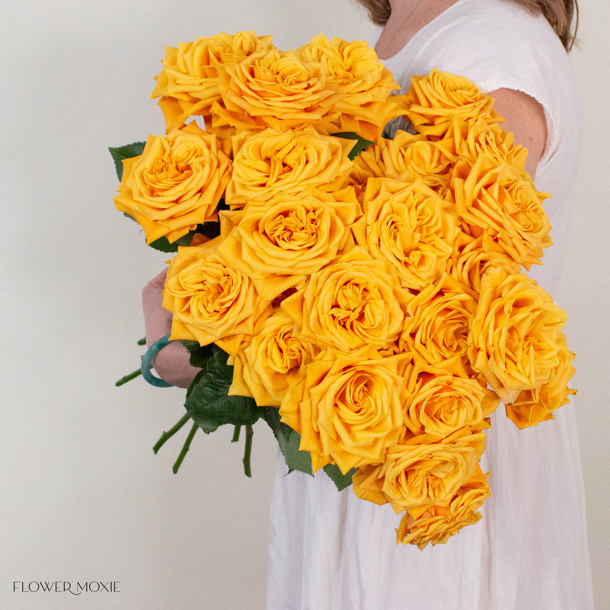 Mustard Yellow Midas Touch Roses