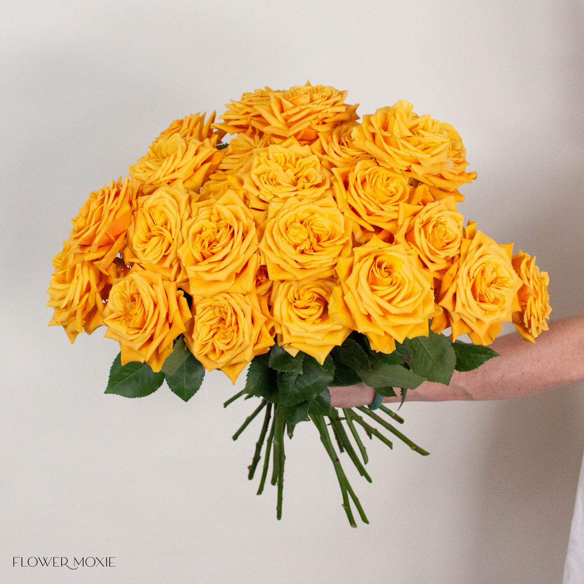 Mustard Yellow Midas Touch Roses