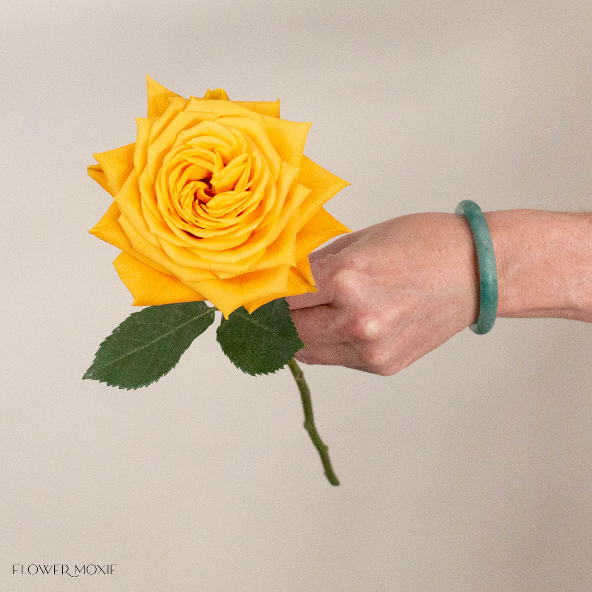 Mustard Yellow Midas Touch Roses