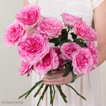 Pink Millicent David Austin Garden Rose
