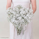 Small Million Star Baby’s Breath Flower
