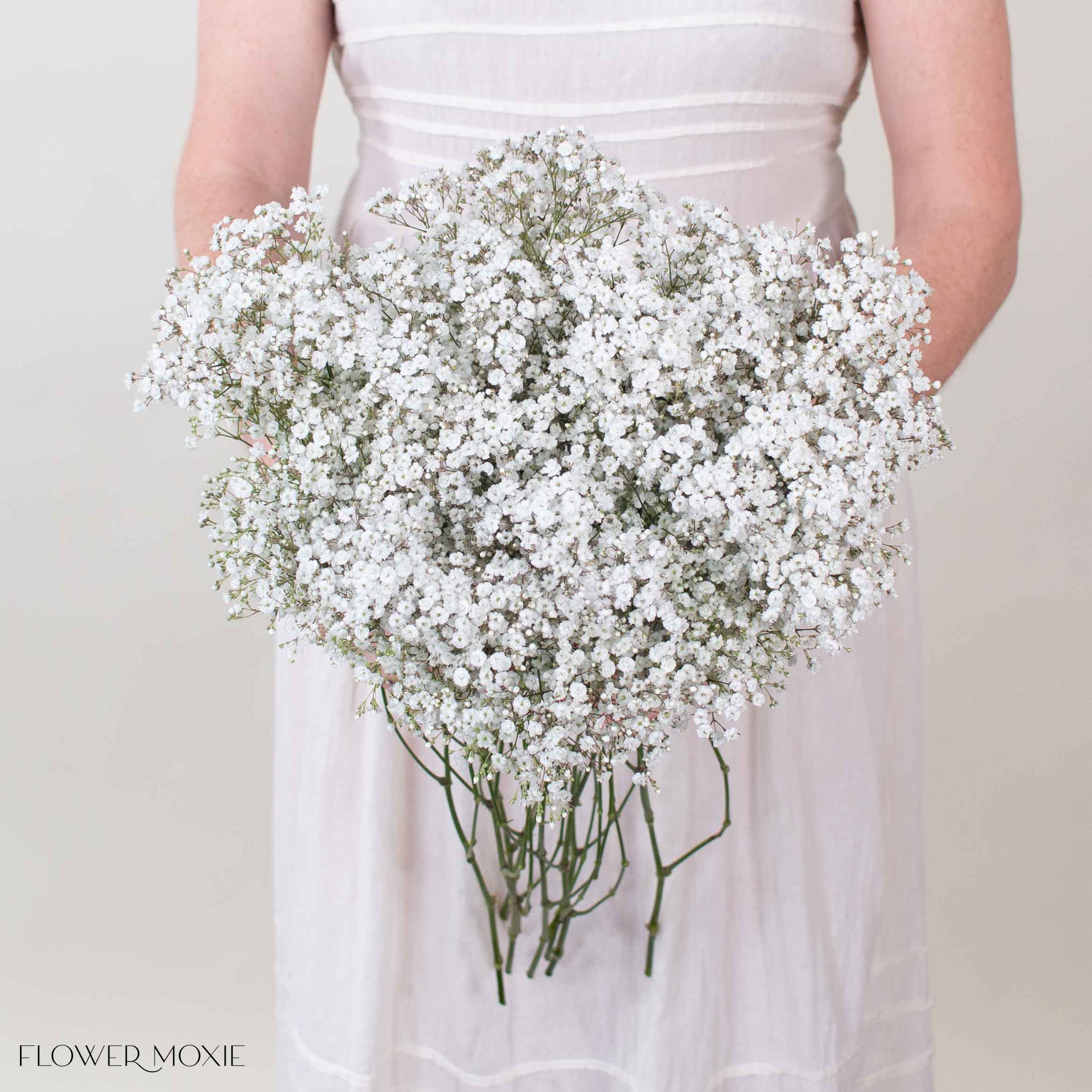 Small Million Star Baby’s Breath Flower
