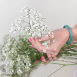 Small Million Star Baby’s Breath Flower
