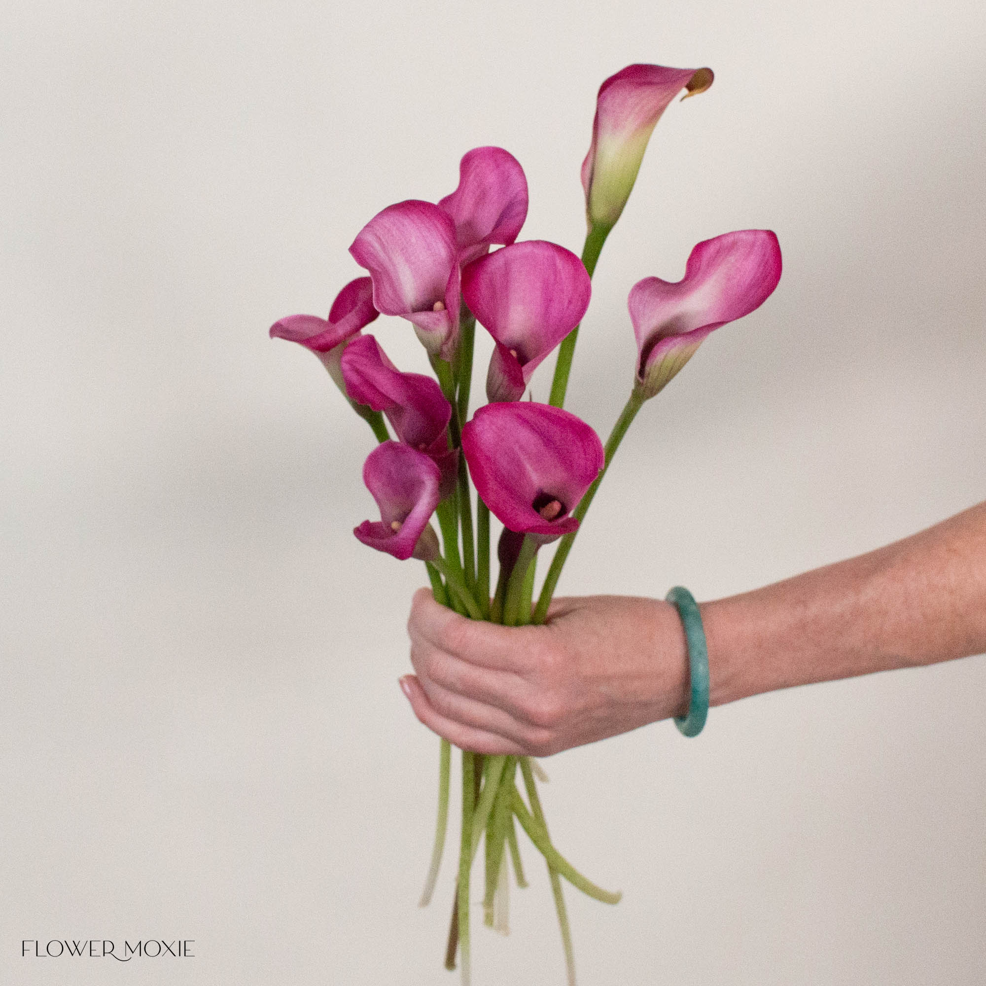 Pink Mini Calla Lily Flower
