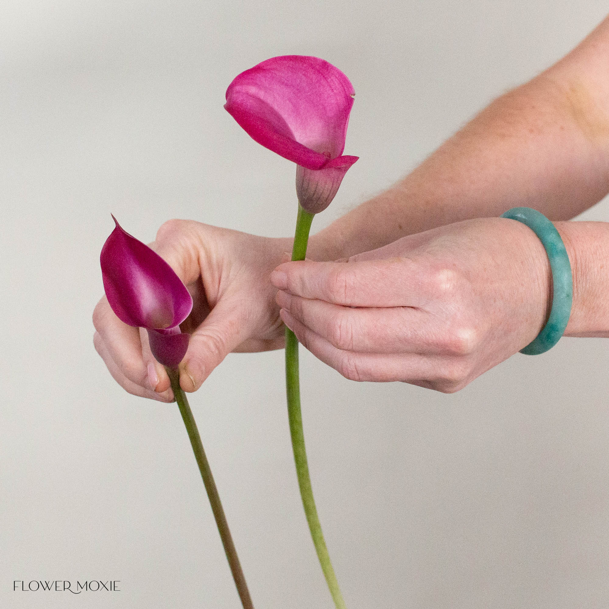 Pink Mini Calla Lily Flower
