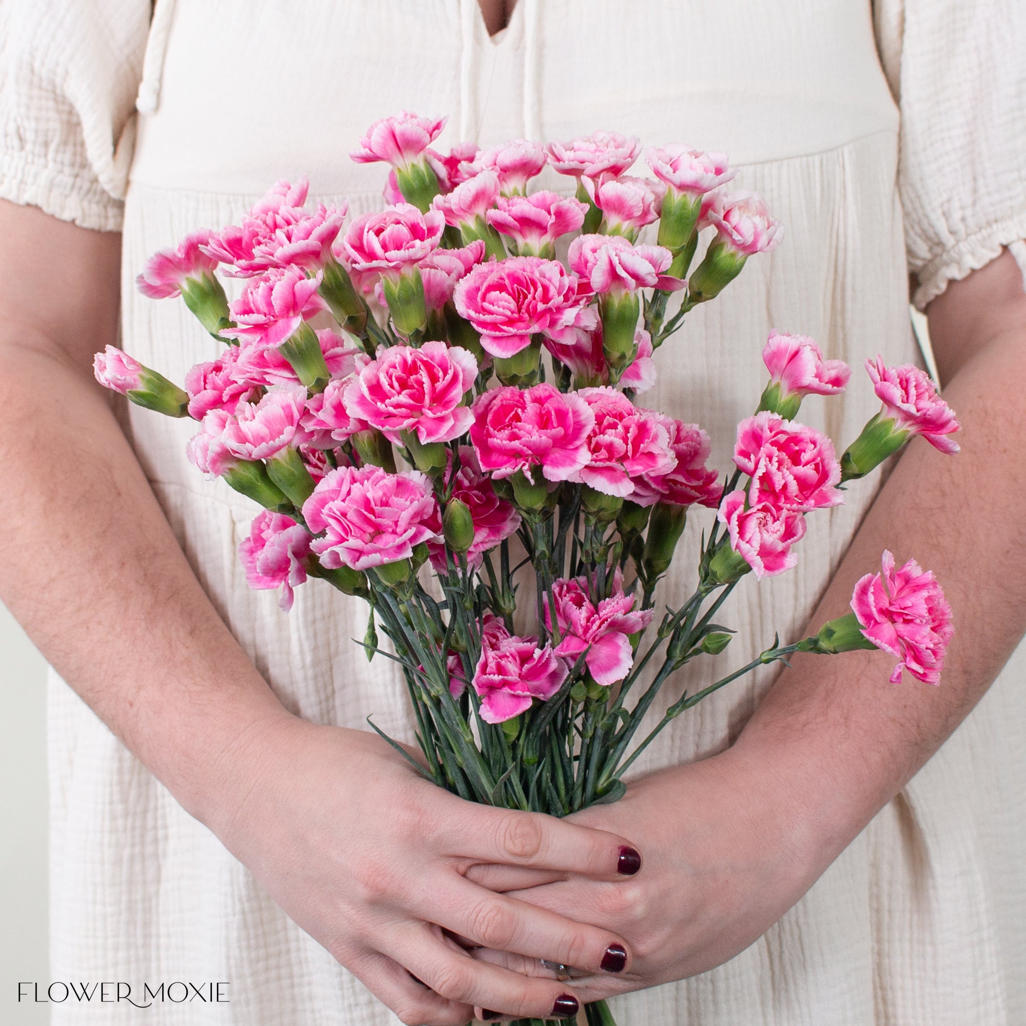 Pink Bicolor Mini Carnations | DIY Wedding Flowers | Flower Moxie