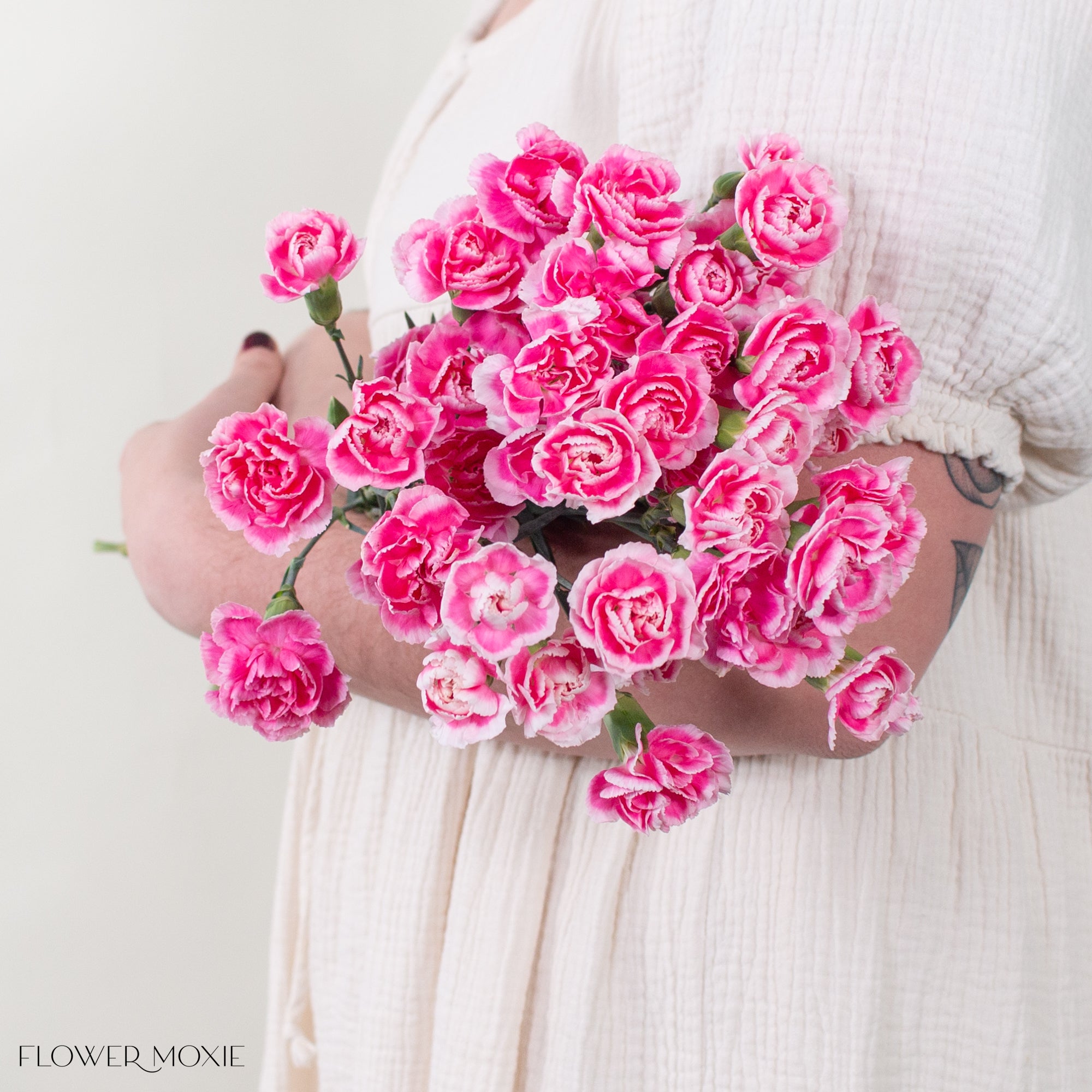 マルサン ミニラ250（PinkNeon Ver.） Van Zyverden Peonies Sarah Bernhardt Set of 5 Plant Roots Pink