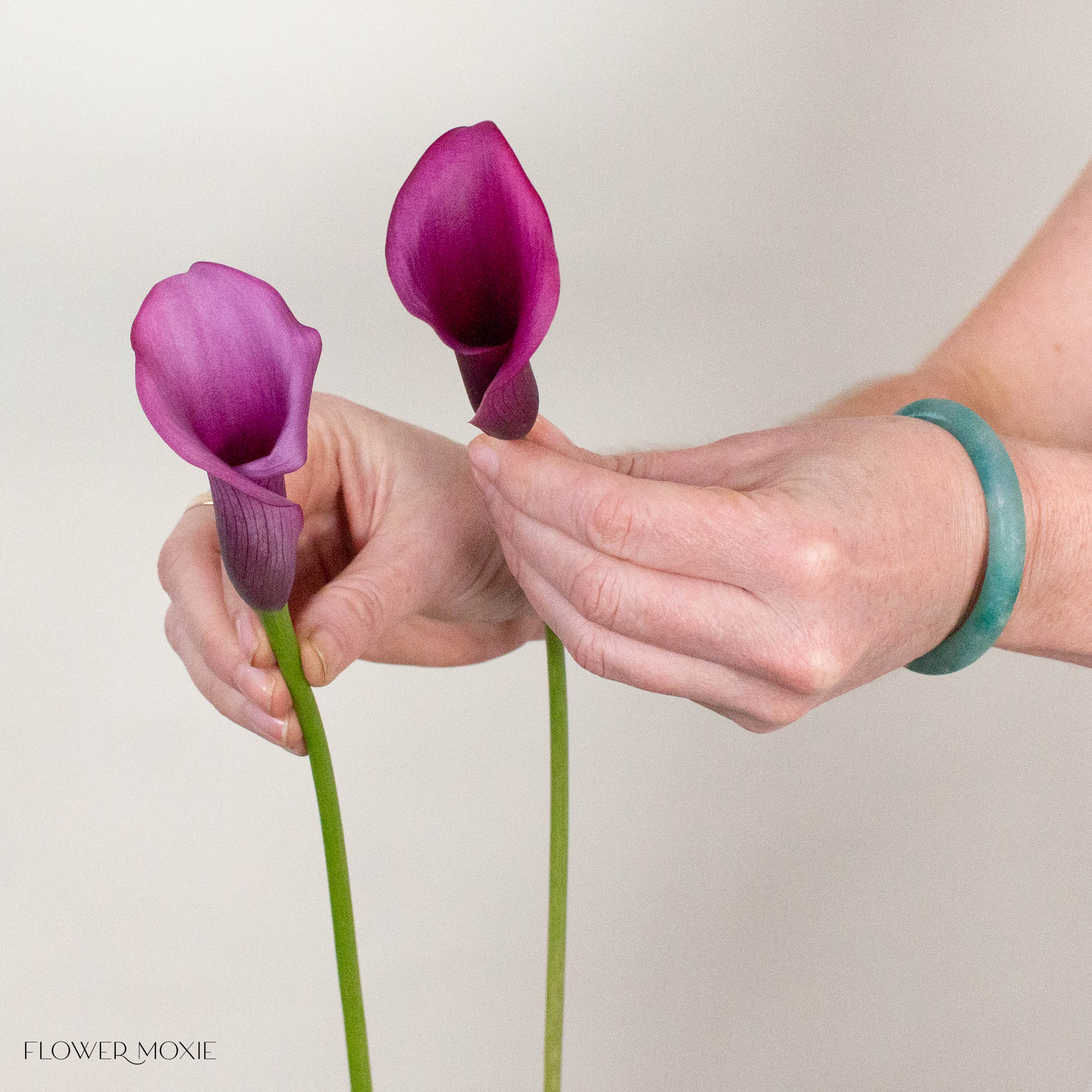 Purple Mini Calla Lily Flower
