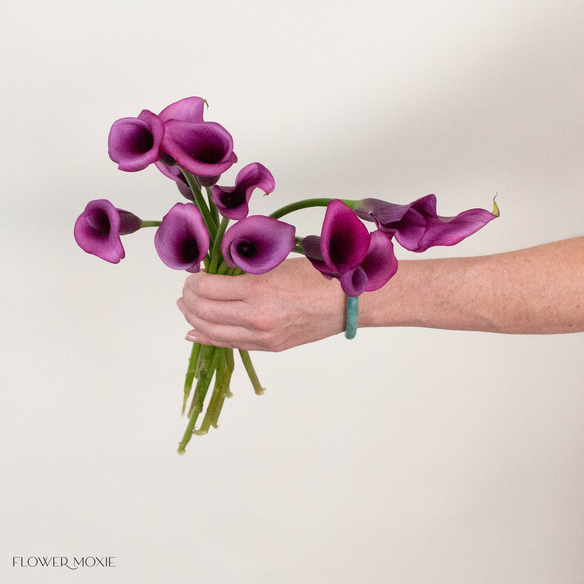 Purple Mini Calla Lily Flower
