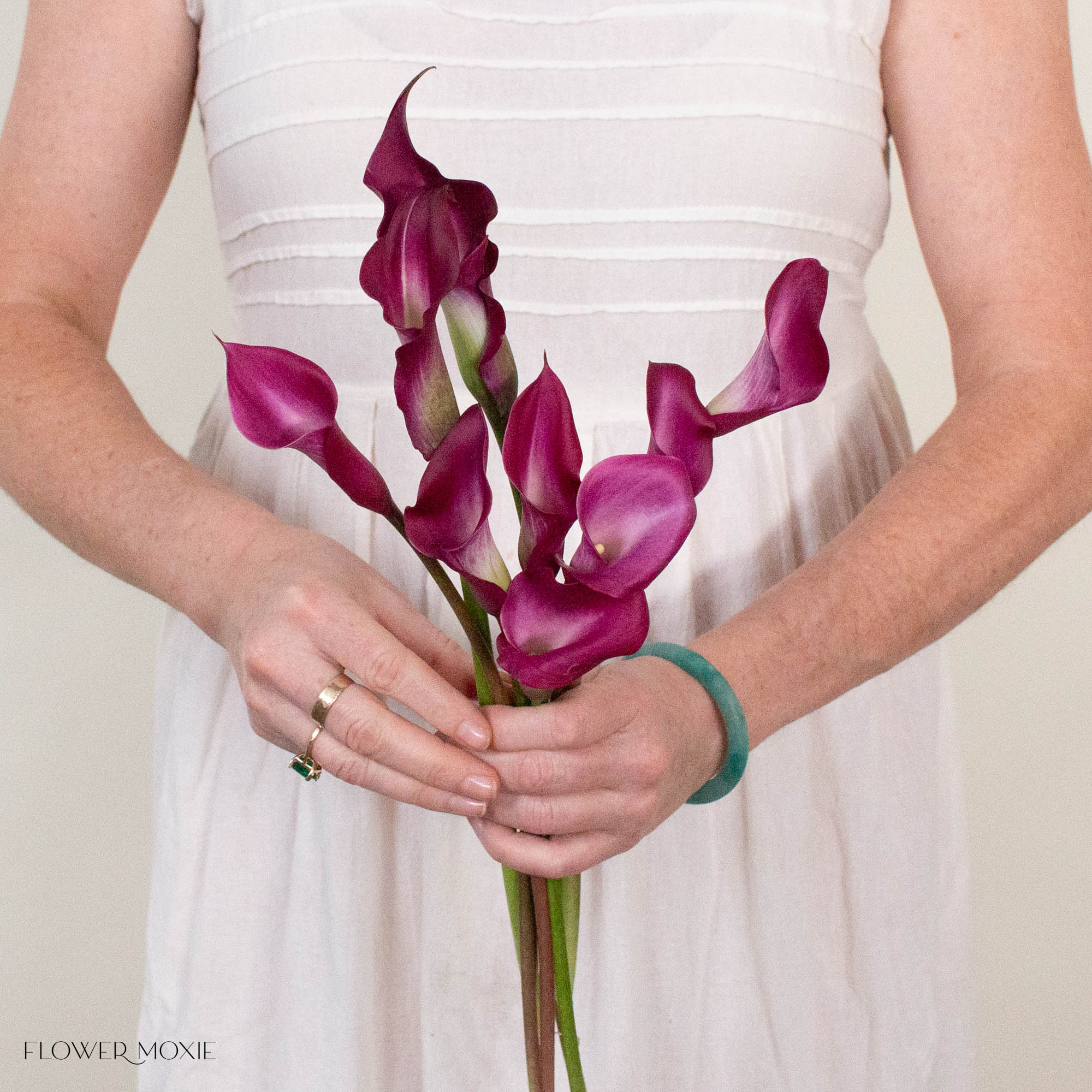 Cranberry Mini Calla Lily Flower
