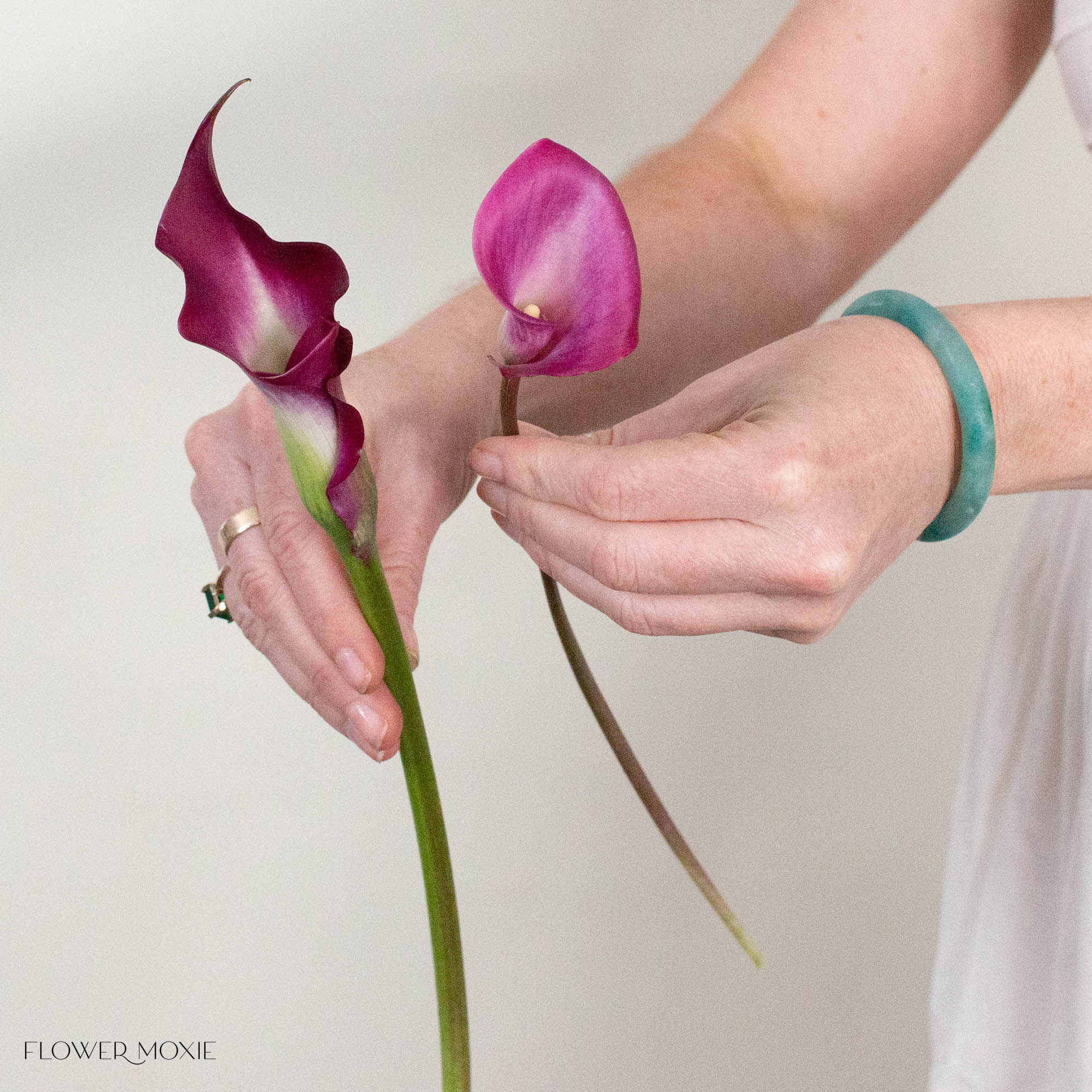 Cranberry Mini Calla Lily Flower
