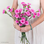 Lavender Mini Carnation Flower
