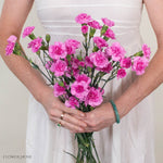 Lavender Mini Carnation Flower
