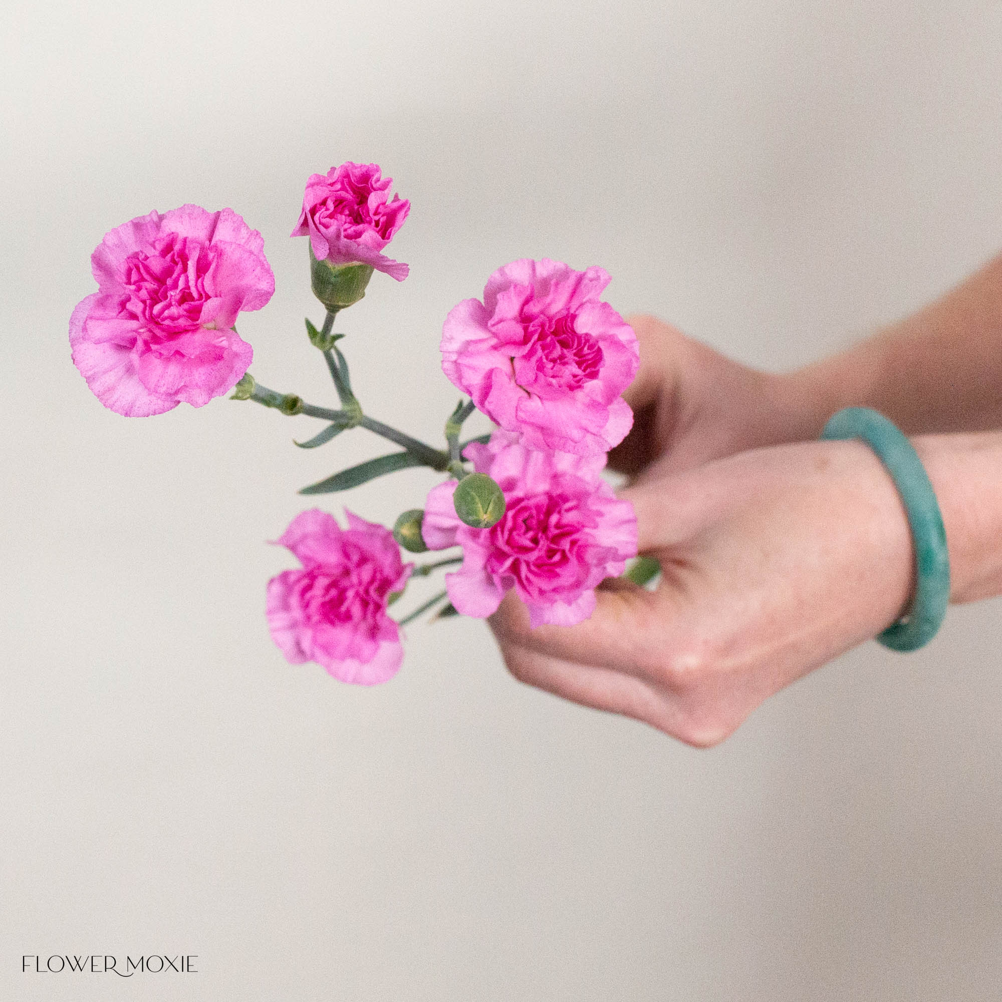 Lavender Mini Carnation Flower
