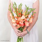 Peach Mini Gladiolus Flower