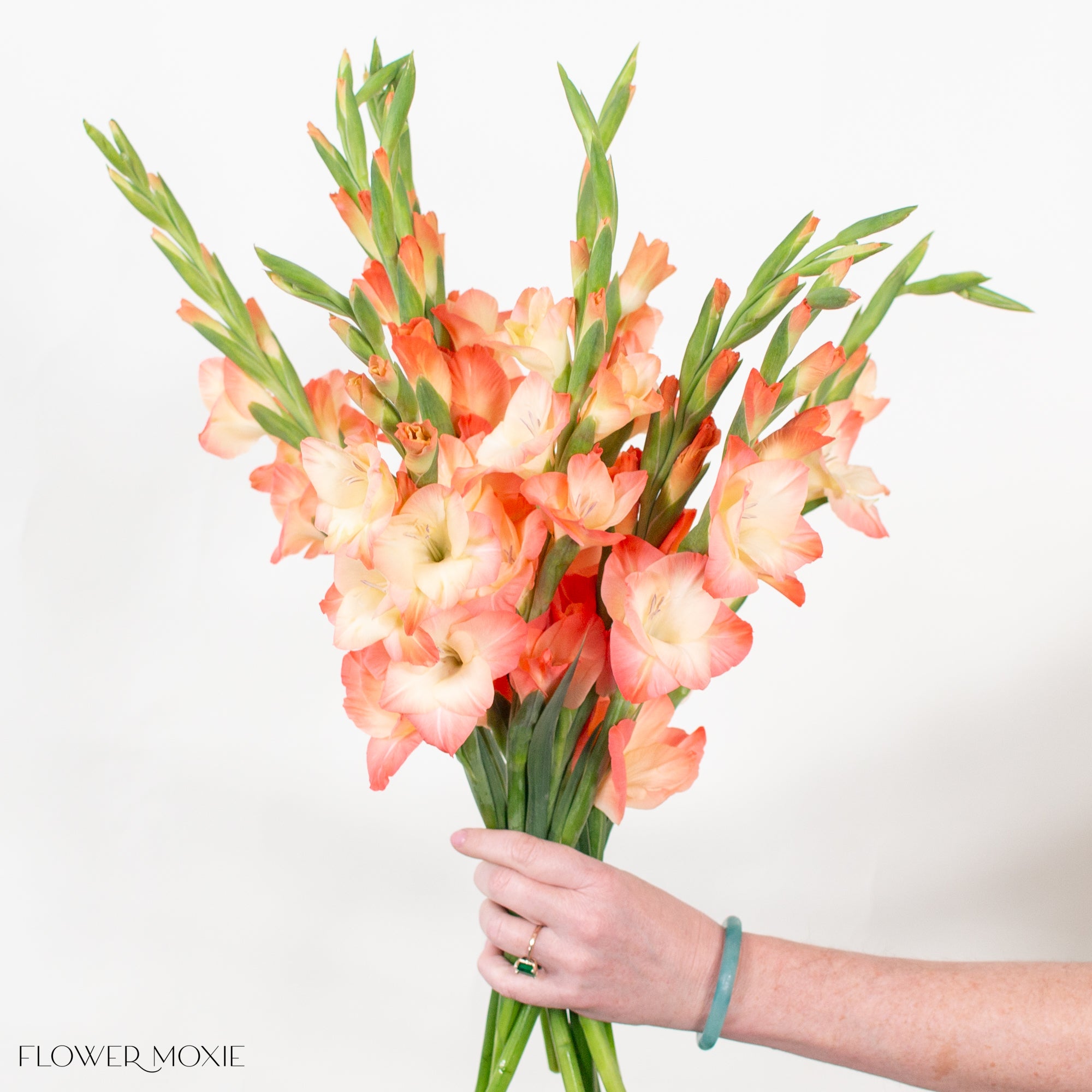 Peach Mini Gladiolus Flower