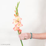 Peach Mini Gladiolus Flower