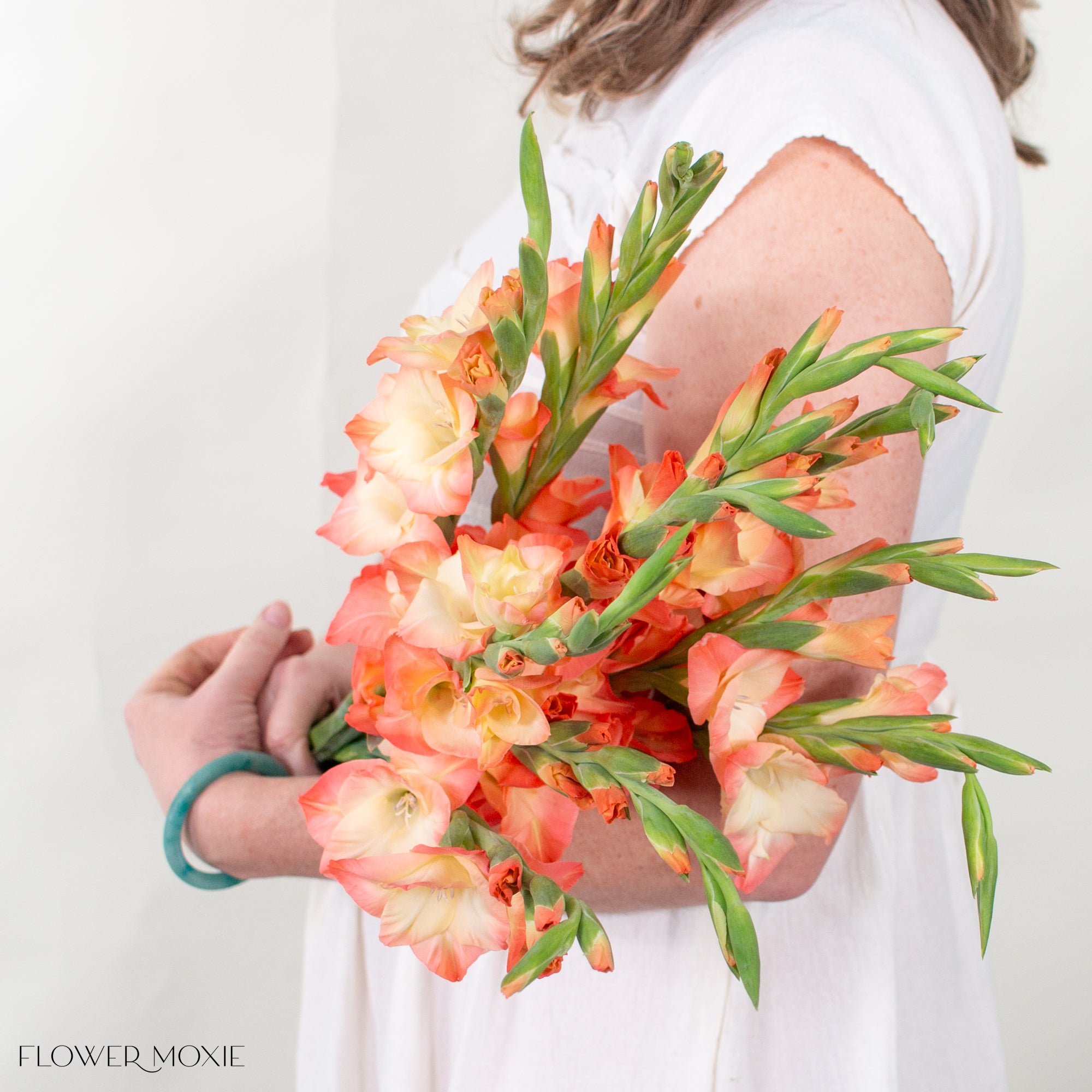 Peach Mini Gladiolus Flower