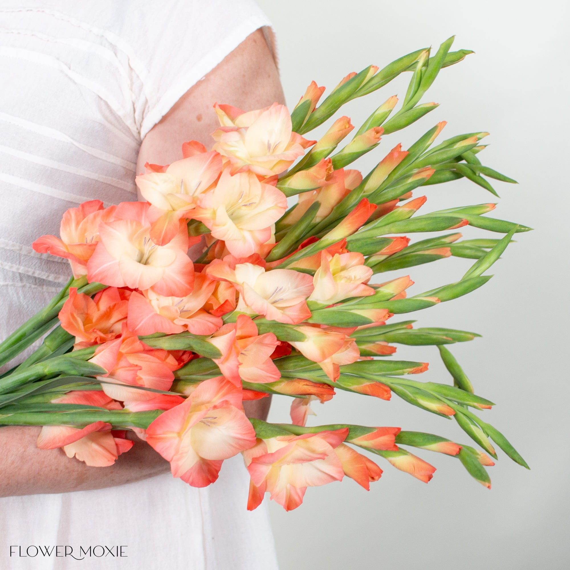 Peach Mini Gladiolus Flower