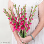 Pink Mini Gladiolus Flower