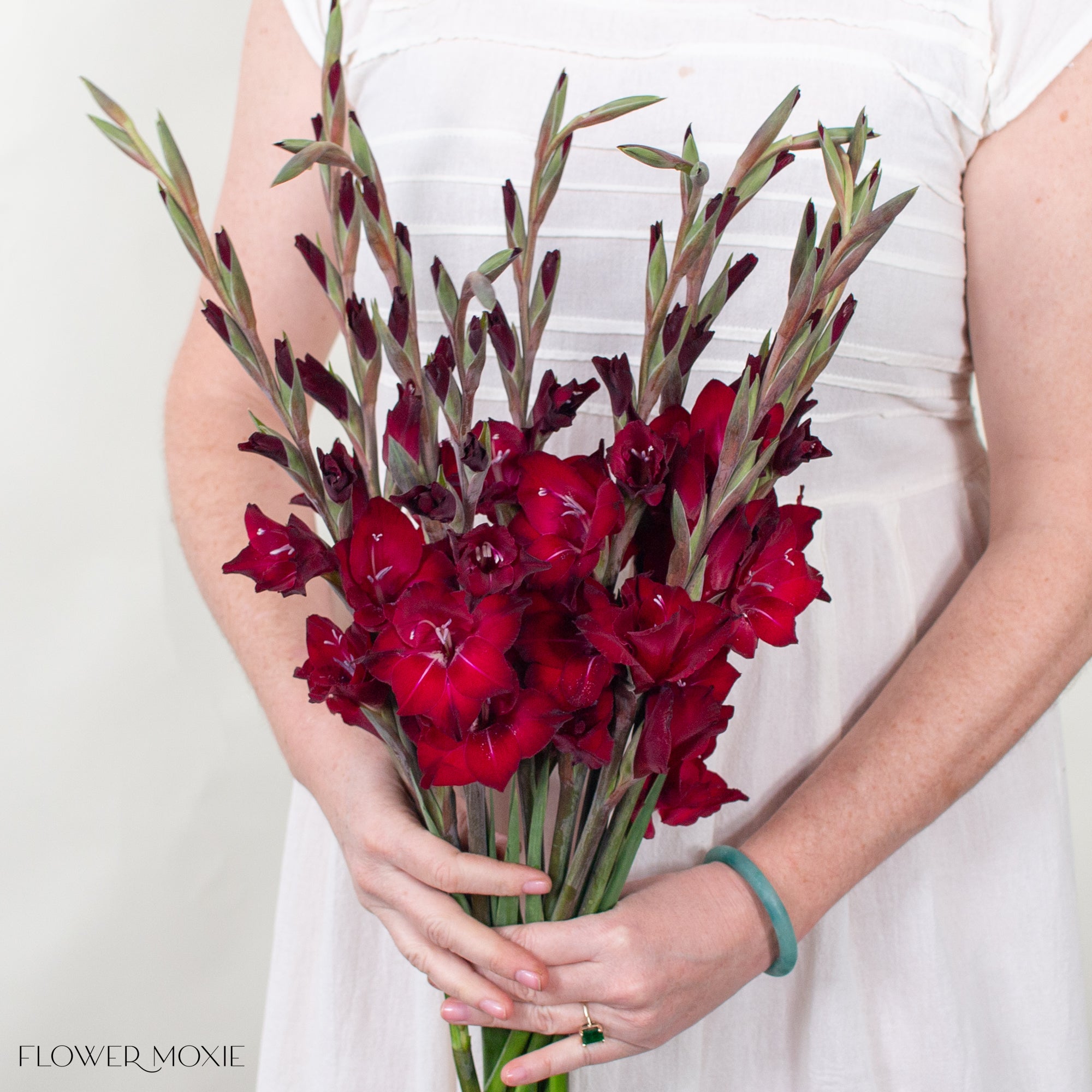 Red Mini Gladiolus Flower