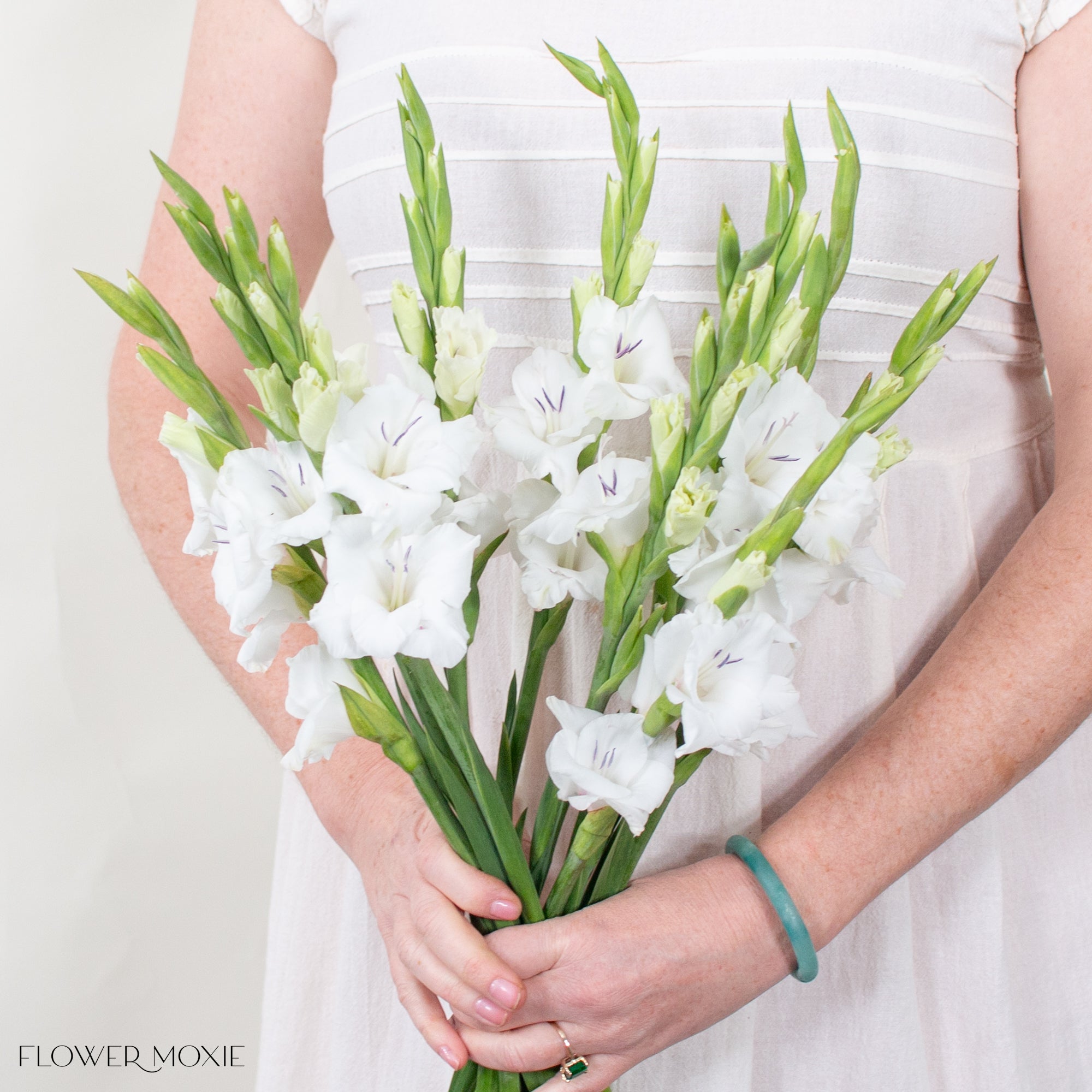 White Mini Gladiolus Flower