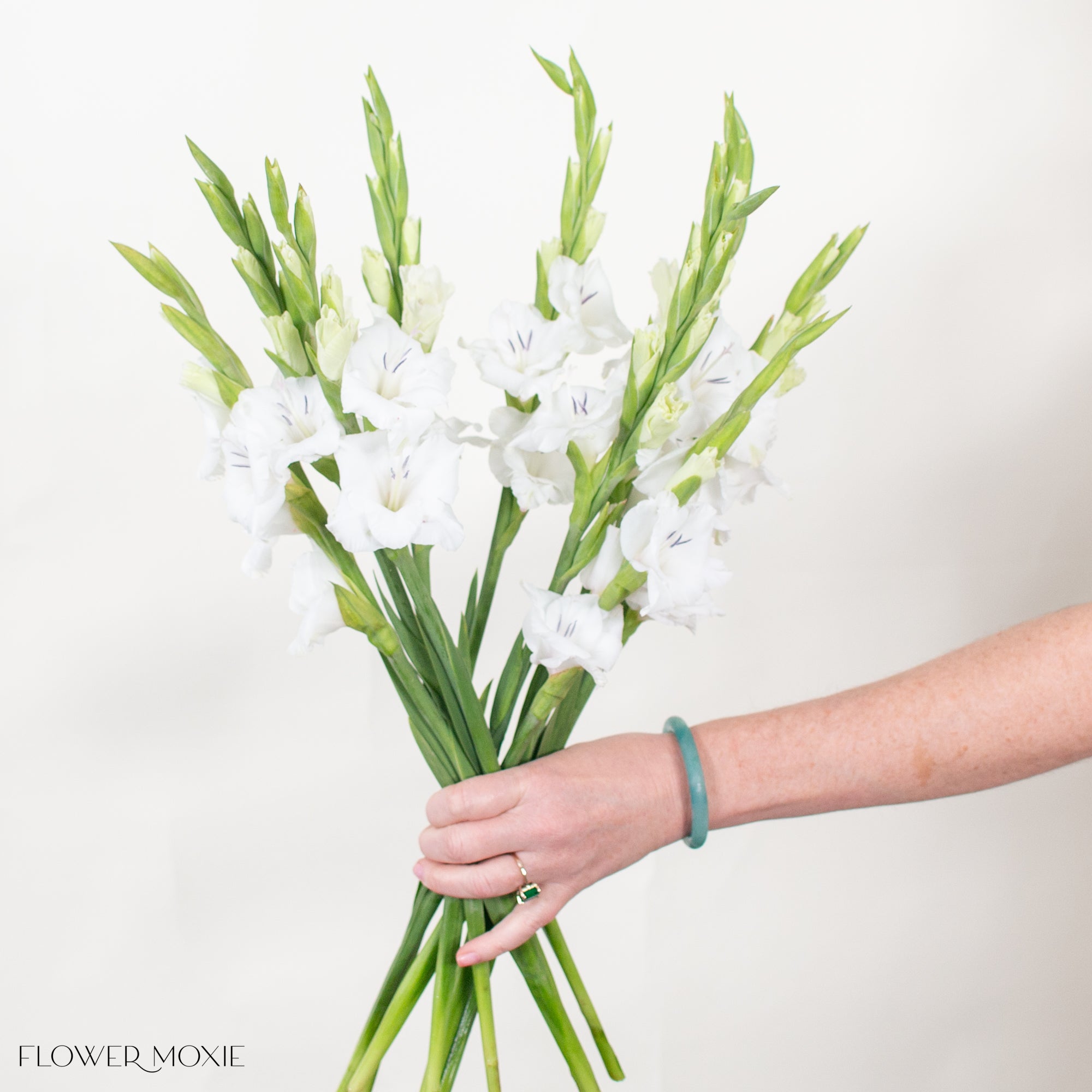 White Mini Gladiolus Flower