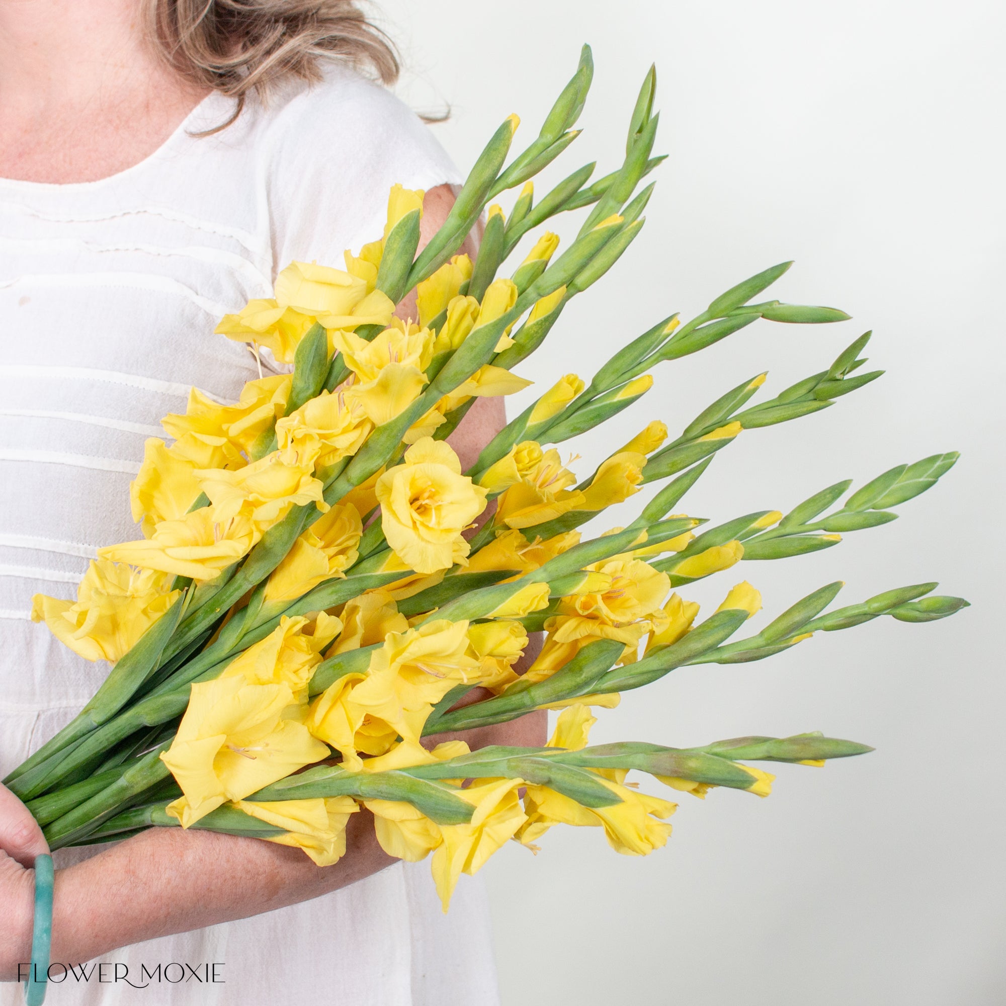 Yellow Mini Gladiolus Flower