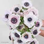 Blush Anemone Flower