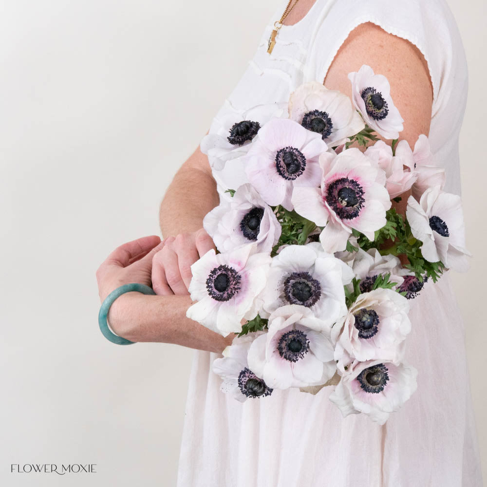 Blush Anemone Flower