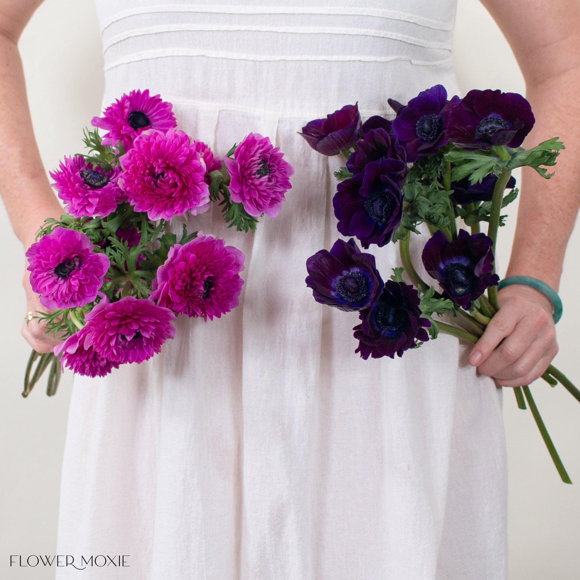 Fuchsia and Burgundy Anemones Mixed Box