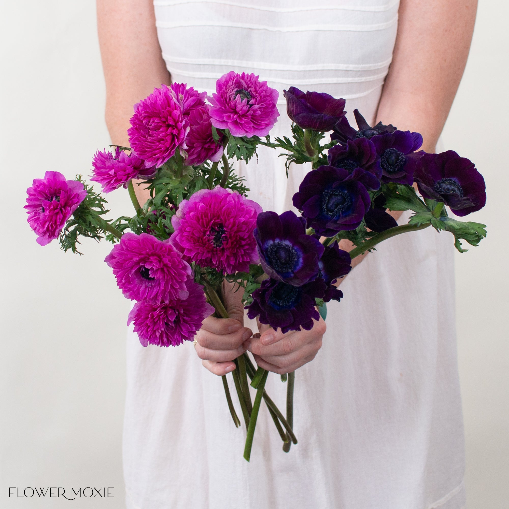 Fuchsia and Burgundy Anemones Mixed Box