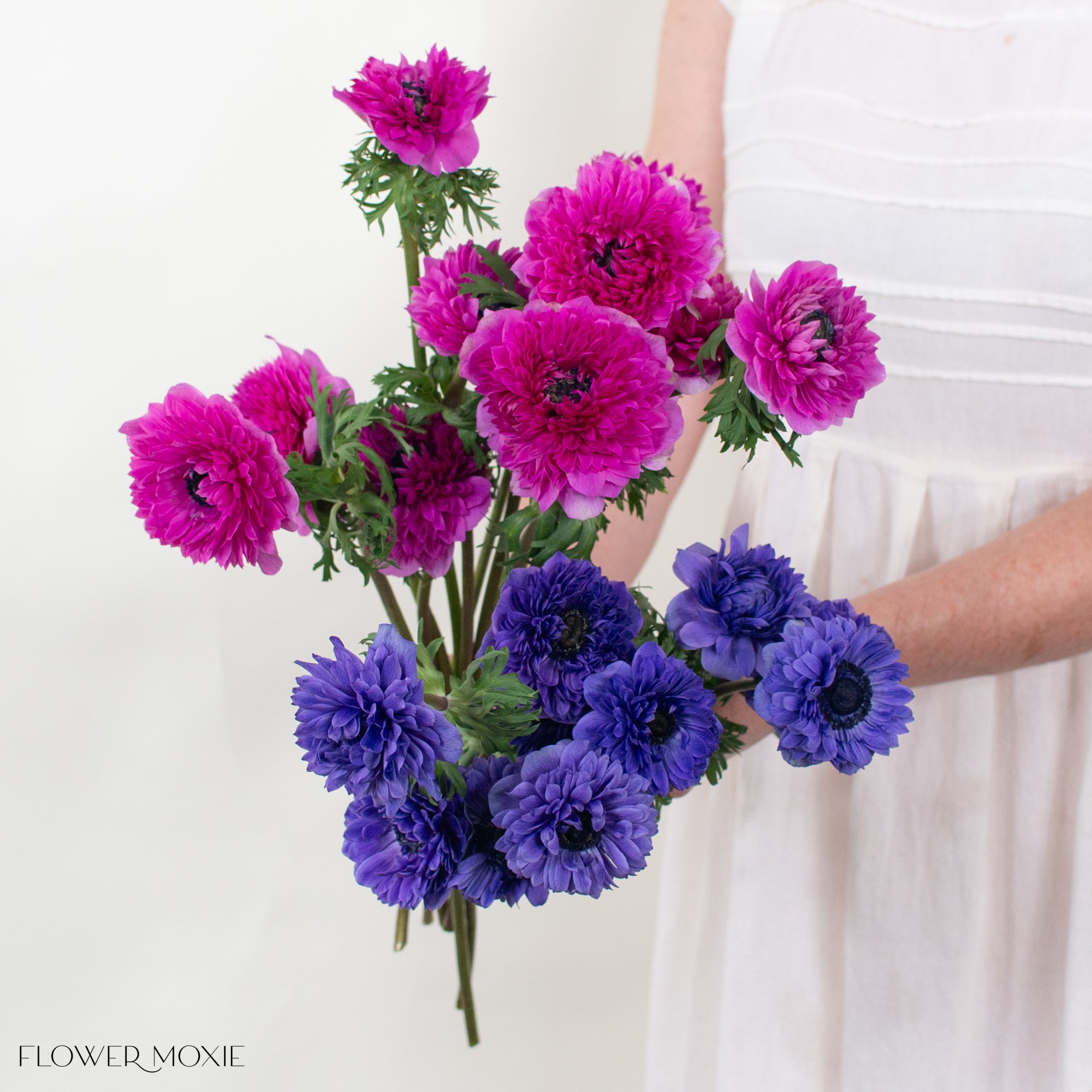 Fuchsia Indigo Anemones Mixed Box