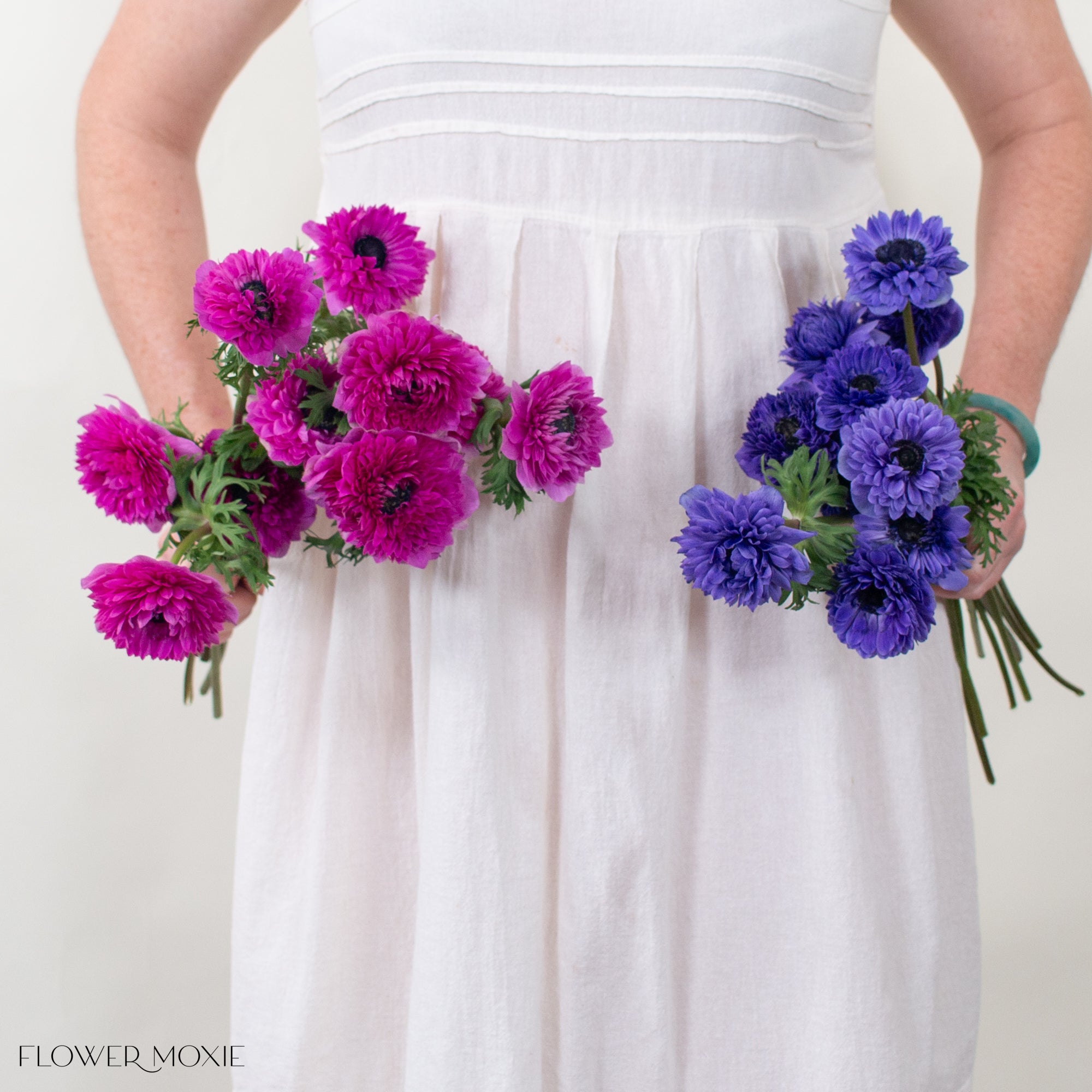 Fuchsia Indigo Anemones Flower Box