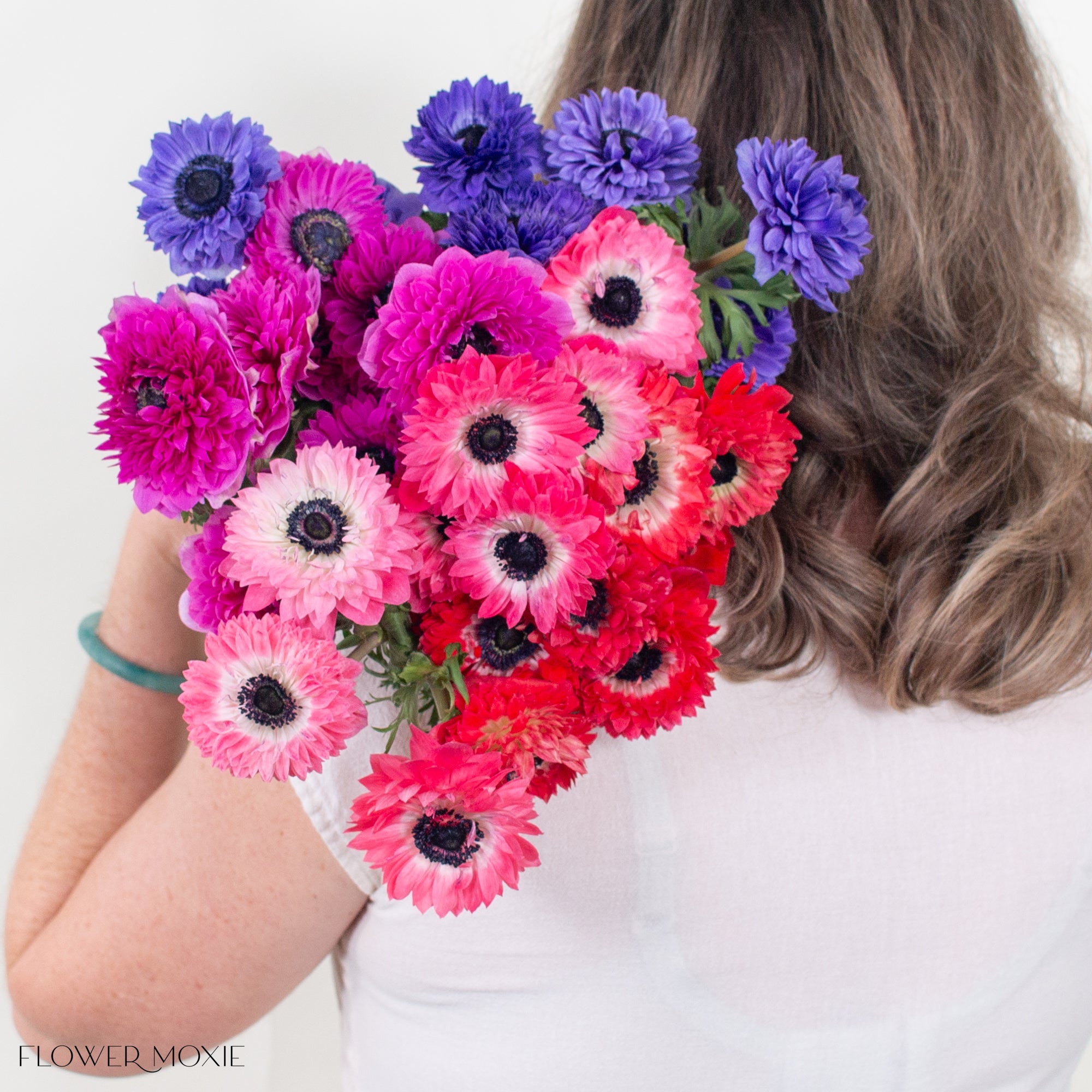 Jewel Tones Anemones Mixed Box