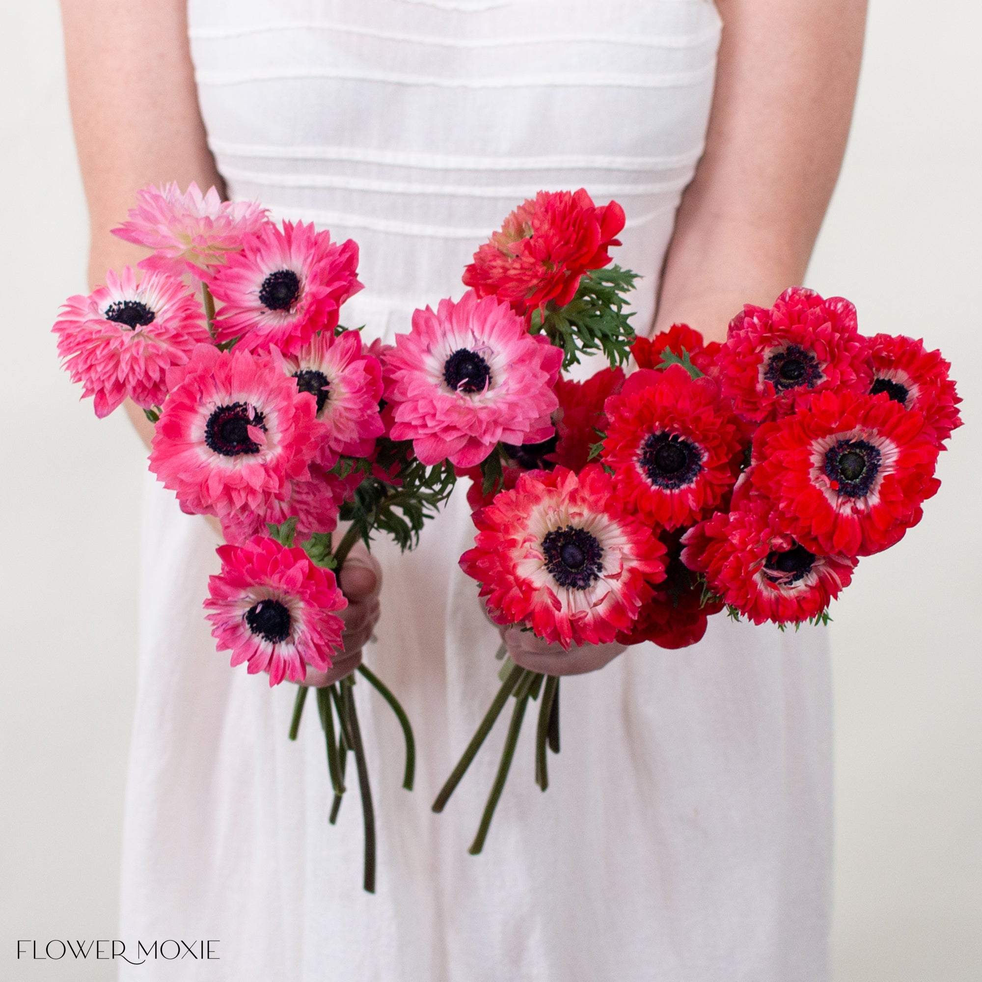 Pink and Red Lotus Anemone Mixed Box | DIY Wedding Flowers