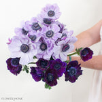 Lilac Burgundy Anemones Mixed Box