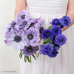 Lilac Indigo Anemones Mixed Box