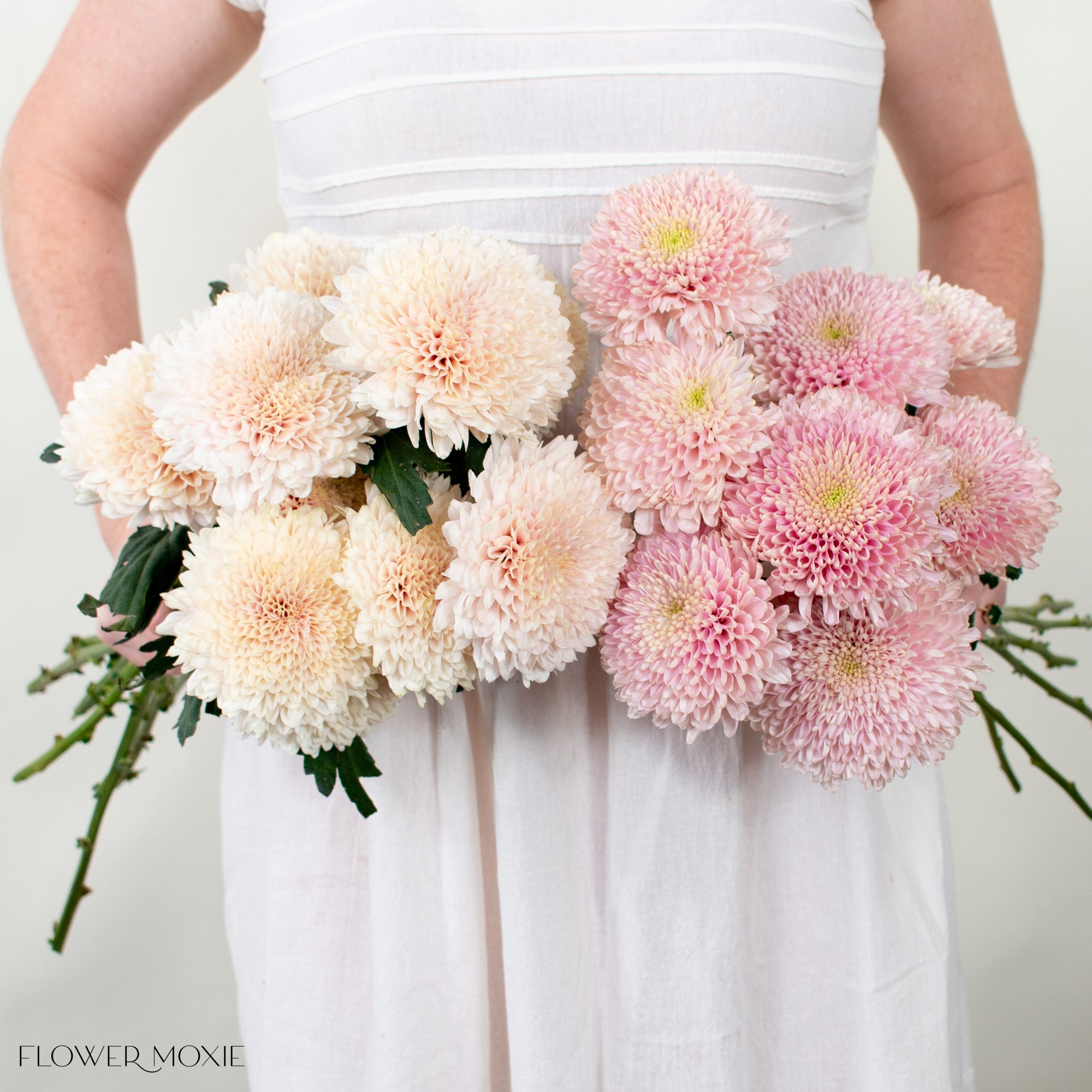 Champagne and Dusty Pink Cremones Mixed Box | DIY Wedding Flowers