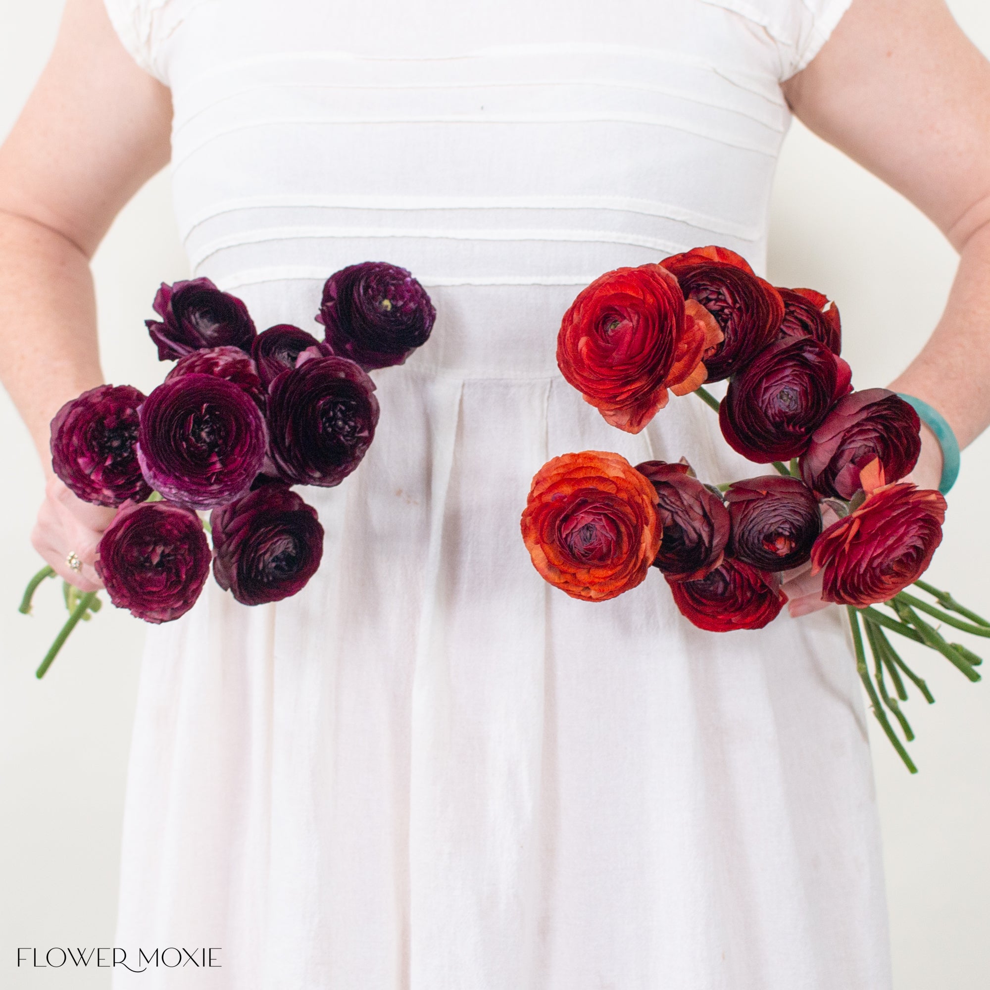 Velvet Ranunculus Mixed Box