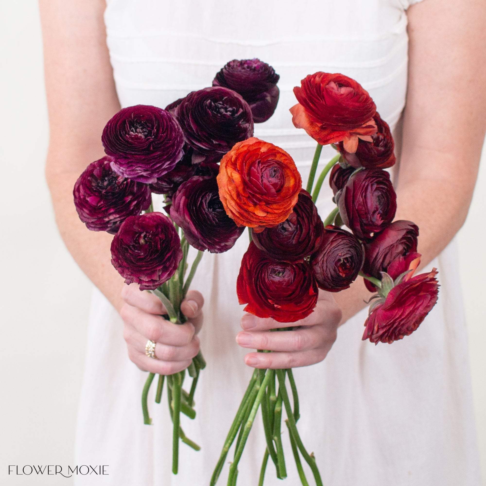 Velvet Ranunculus Mixed Box