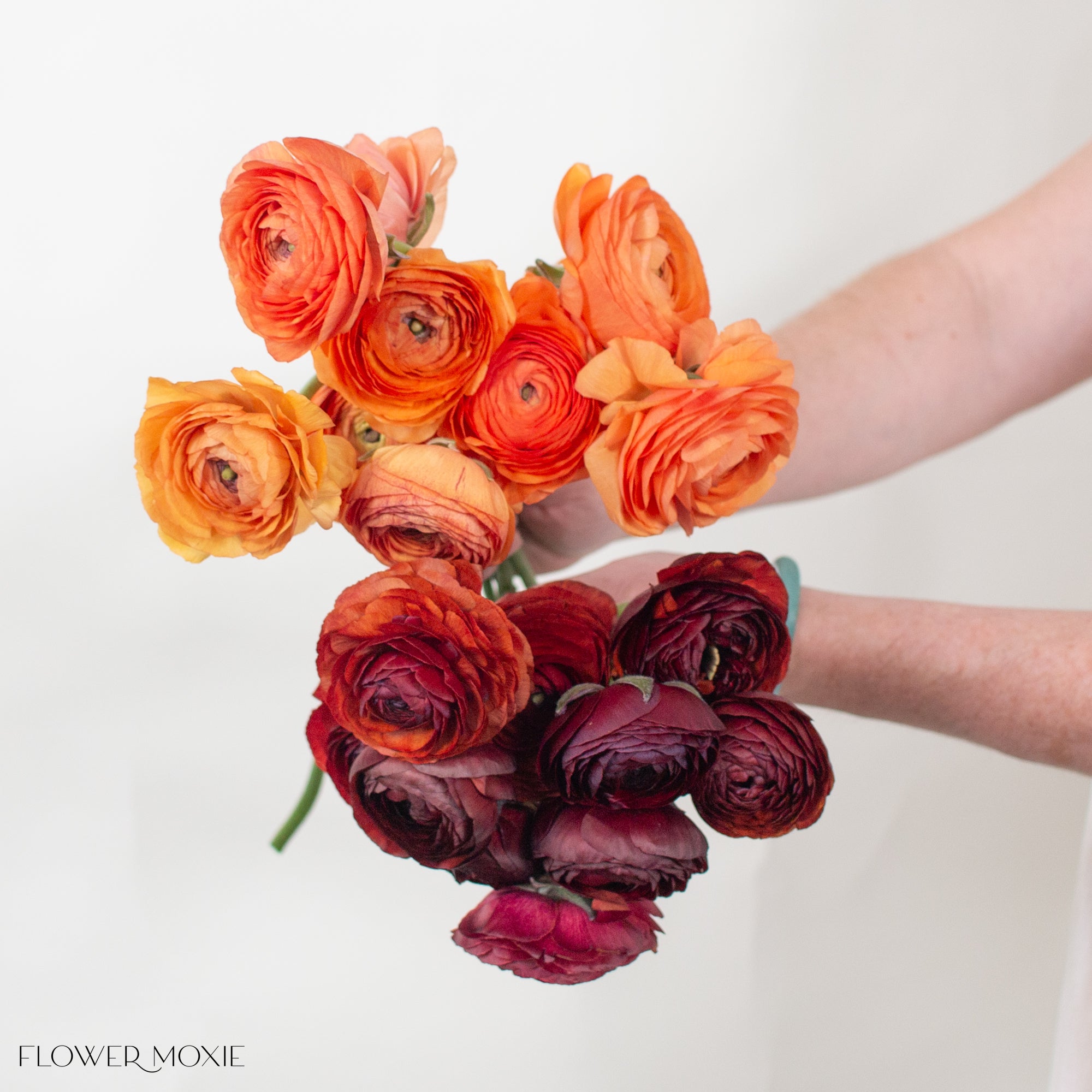 Orange and Chocolate Ranunculus Mixed Box | DIY Wedding Flowers