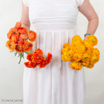 Golden Sunset Ranunculus Mixed Box