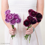 Plum Violet Ranunculus Mixed Box