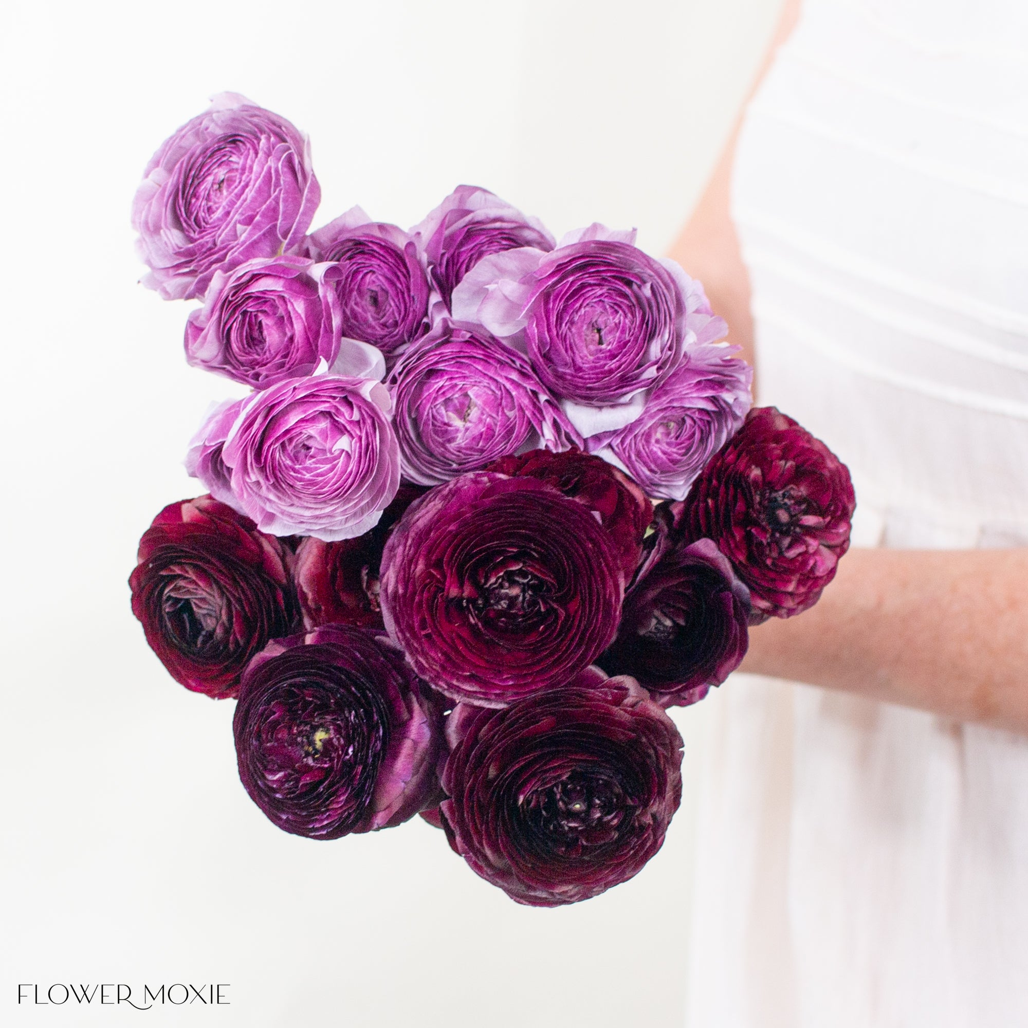 Plum Violet Ranunculus Mixed Box