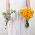 Lemon Sunshine Ranunculus Mixed Box