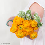 Lemon Sunshine Ranunculus Mixed Box