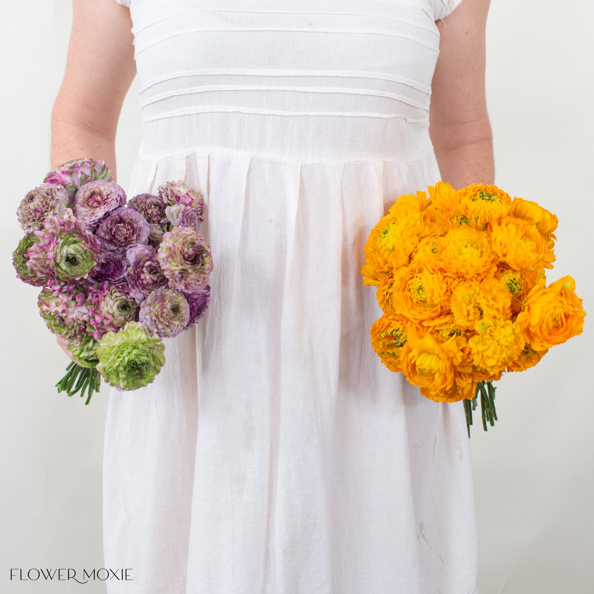 specialty pon pon lavender and yellow ranunculus